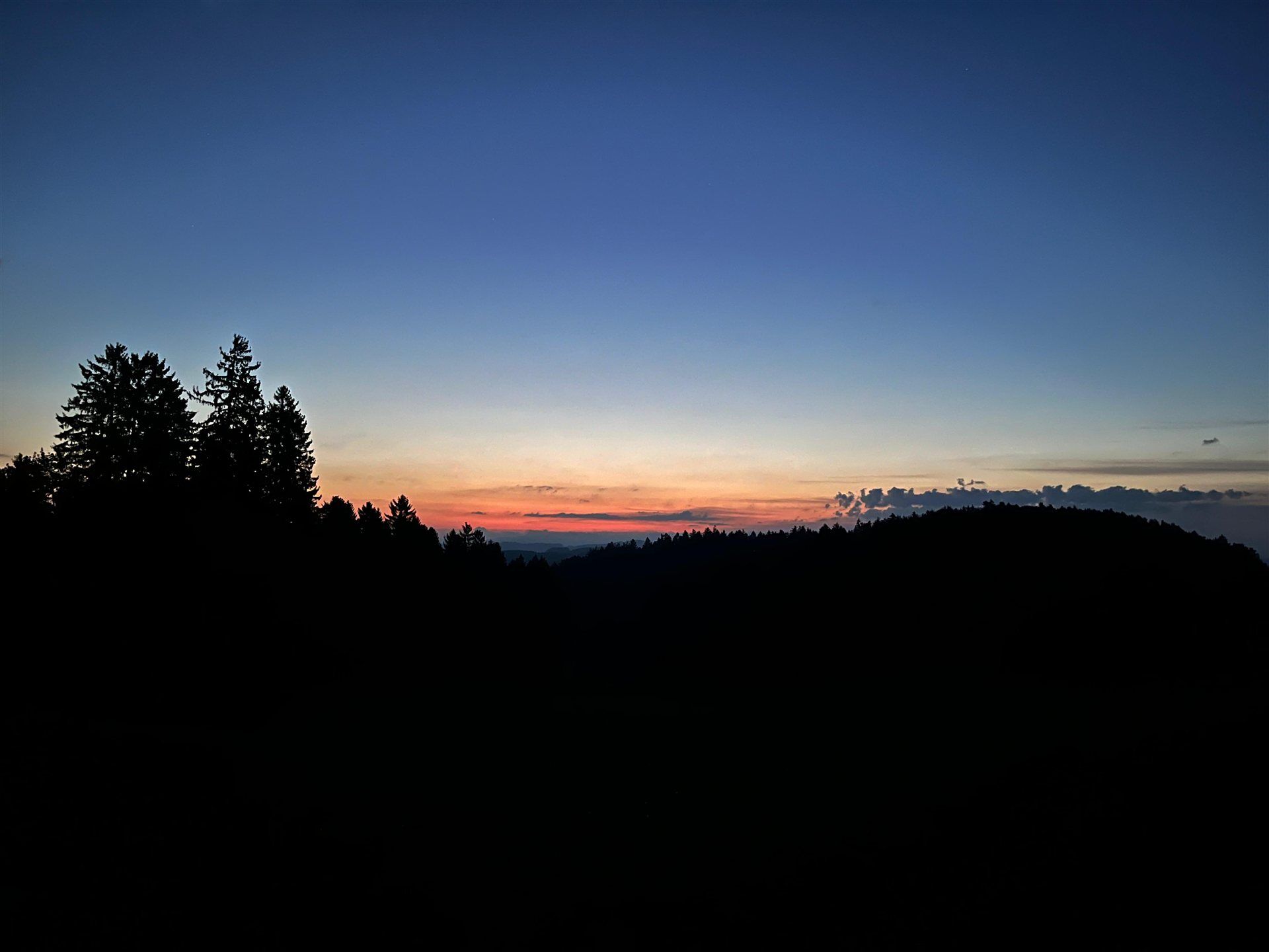 Morgendämmerung im Revier Waldburg