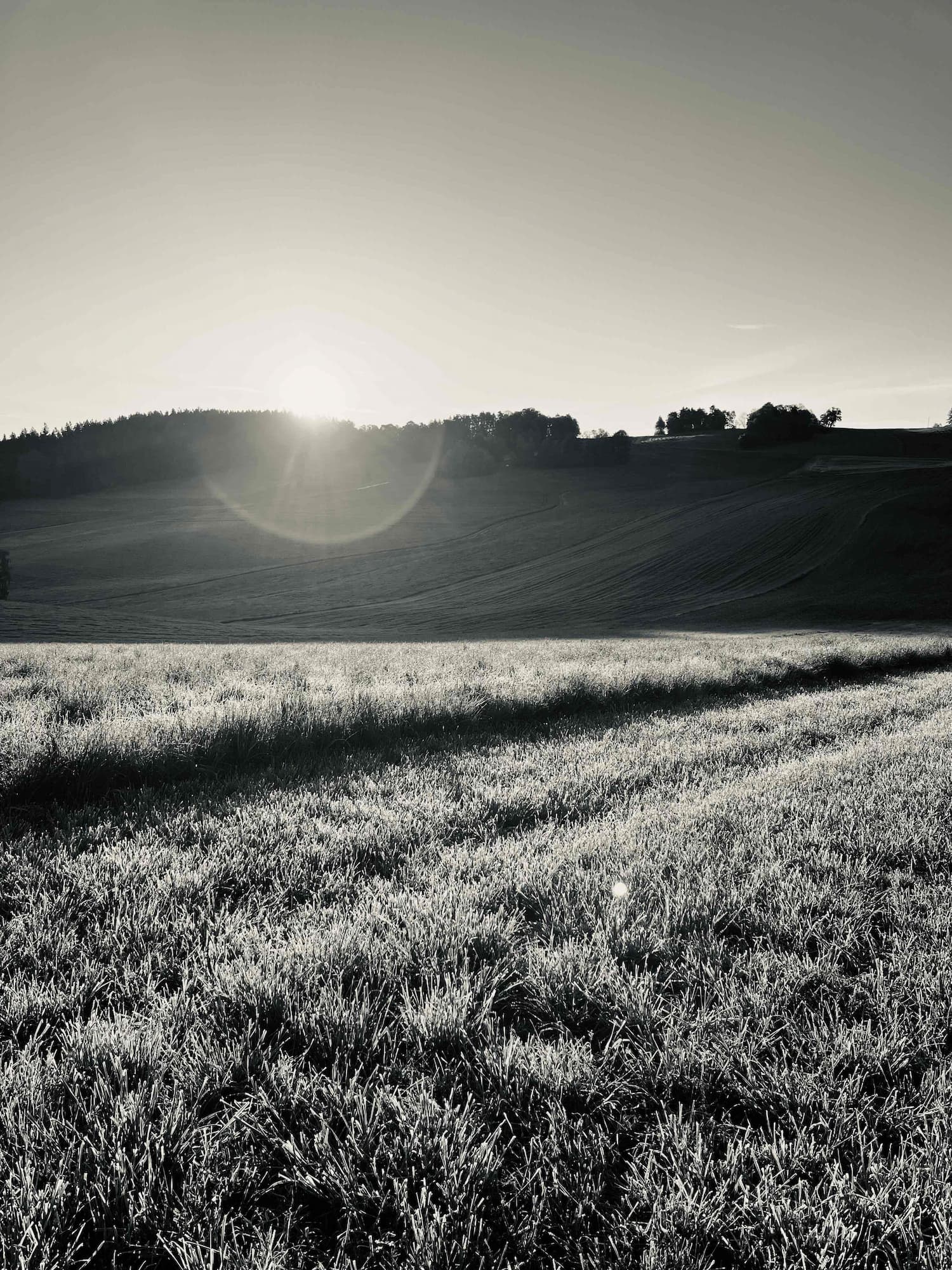 Das Revier der Jagdgesellschaft Waldburg