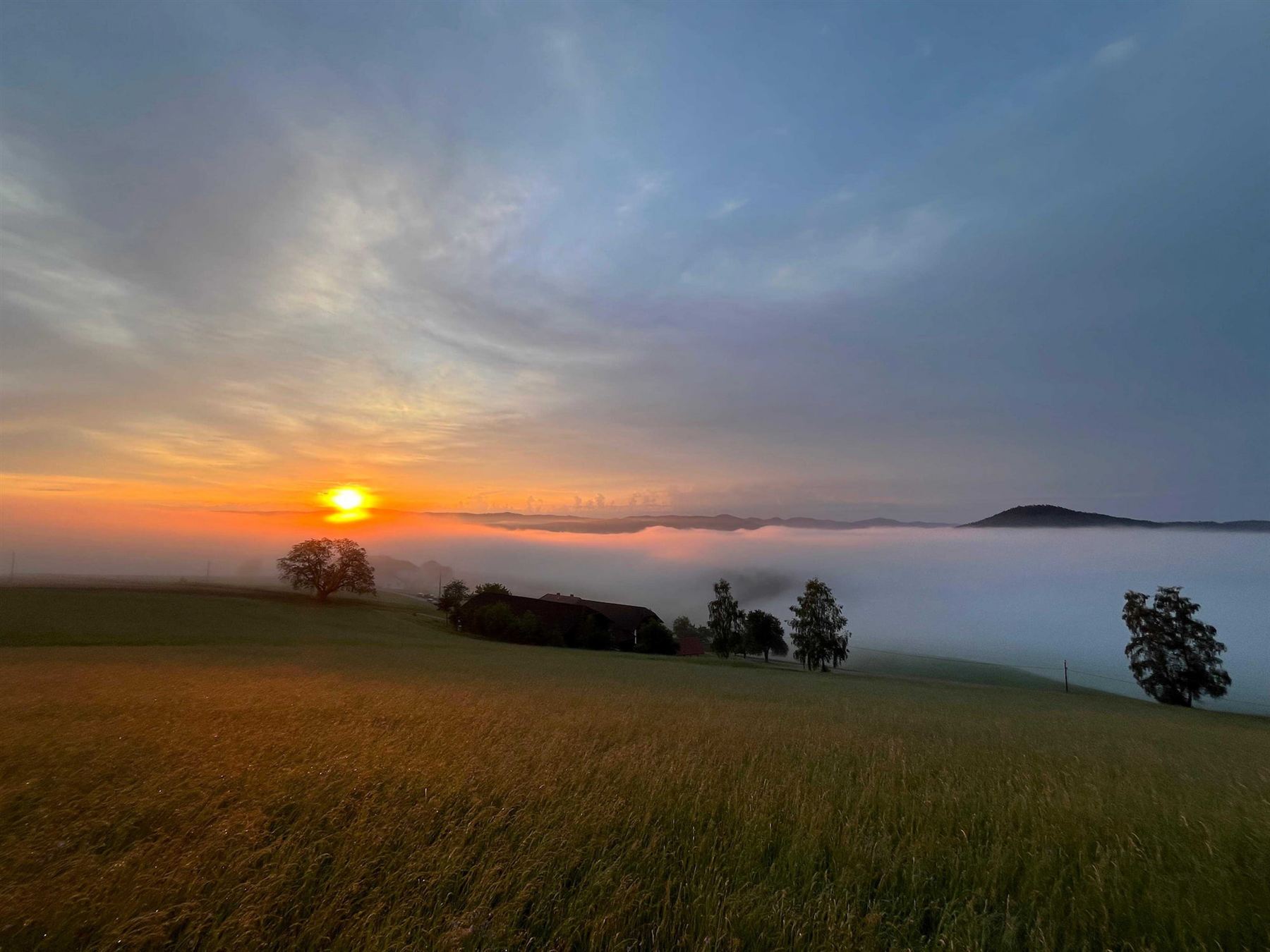 Nebelstimmung im Mühlviertler Revier
